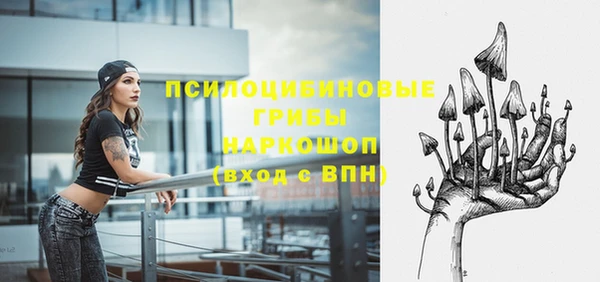 ГАЛЛЮЦИНОГЕННЫЕ ГРИБЫ Балахна